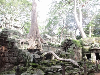 s-IMG_4215.jpg