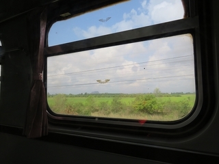 s-IMG_6423.jpg